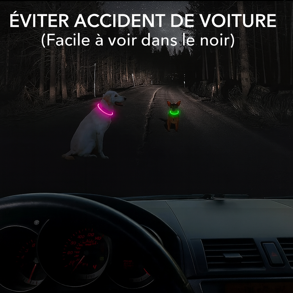 Collier LED Lumineux pour Chien – Sécurité Nocturne & Style 🐾