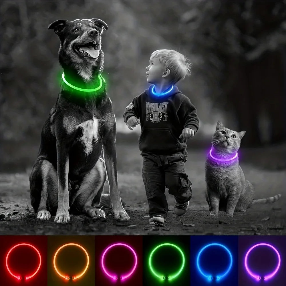 Collier LED Lumineux pour Chien – Sécurité Nocturne & Style 🐾