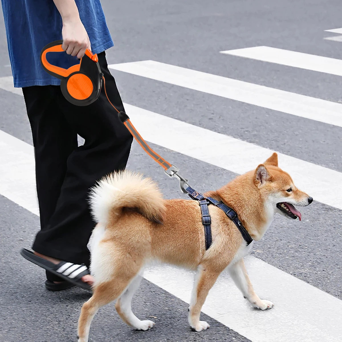 🐾 Laisse Rétractable 8m – Sécurité & Liberté pour Votre Chien ! 🐾