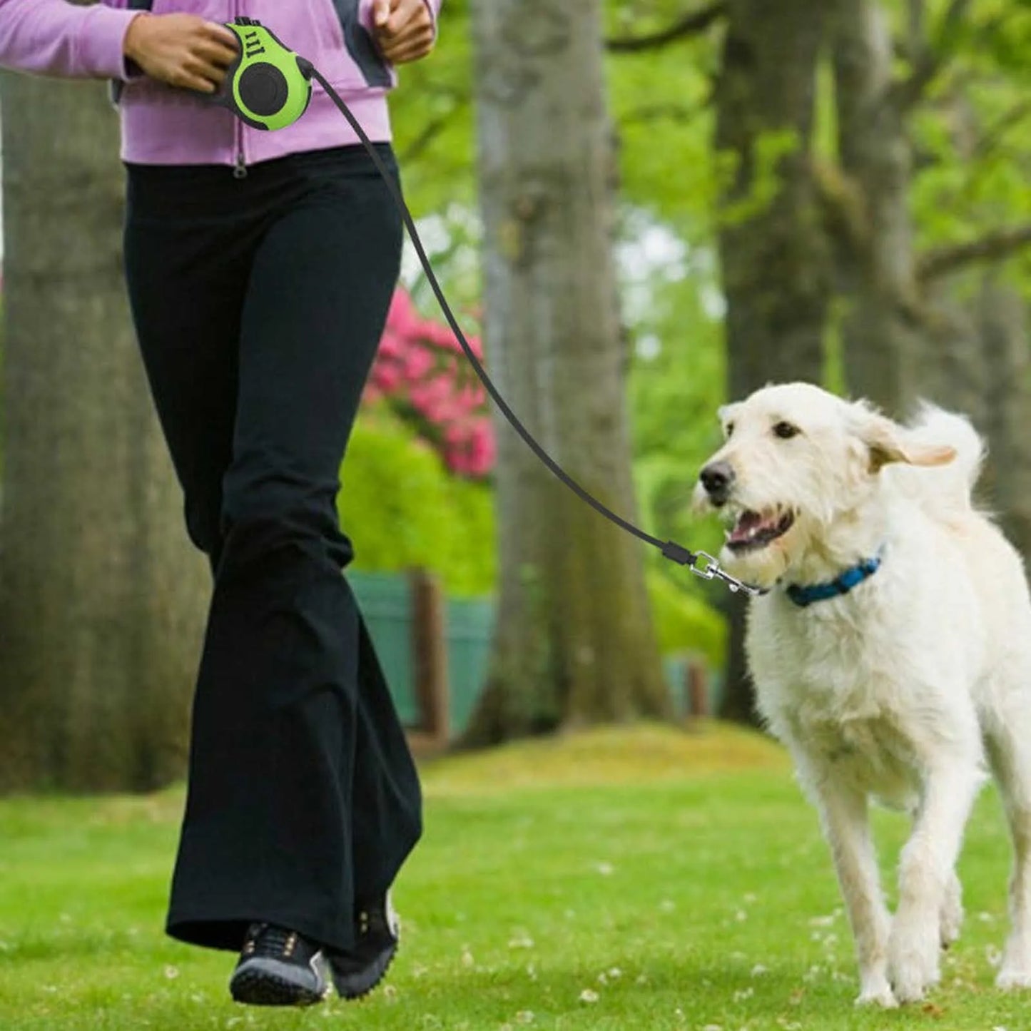 Laisse rétractable 5m – Liberté et sécurité pour vos compagnons 🐾