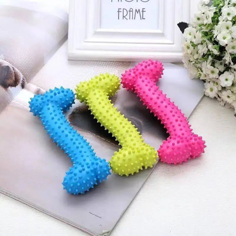 🐶 Jouet Mâchouilleur Coloré pour Chiens