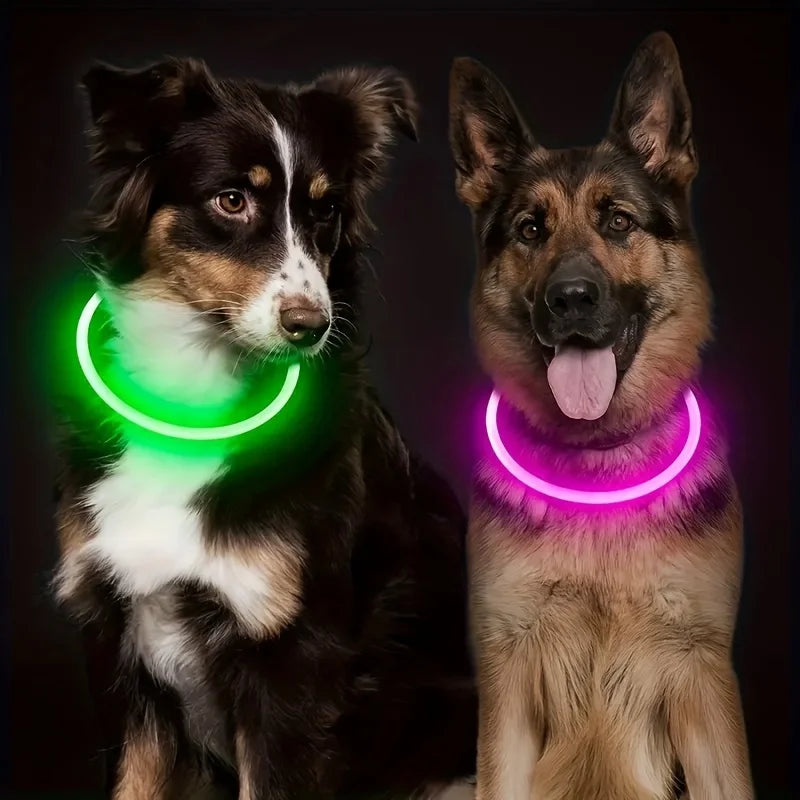 Collier LED Lumineux pour Chien – Sécurité Nocturne & Style 🐾