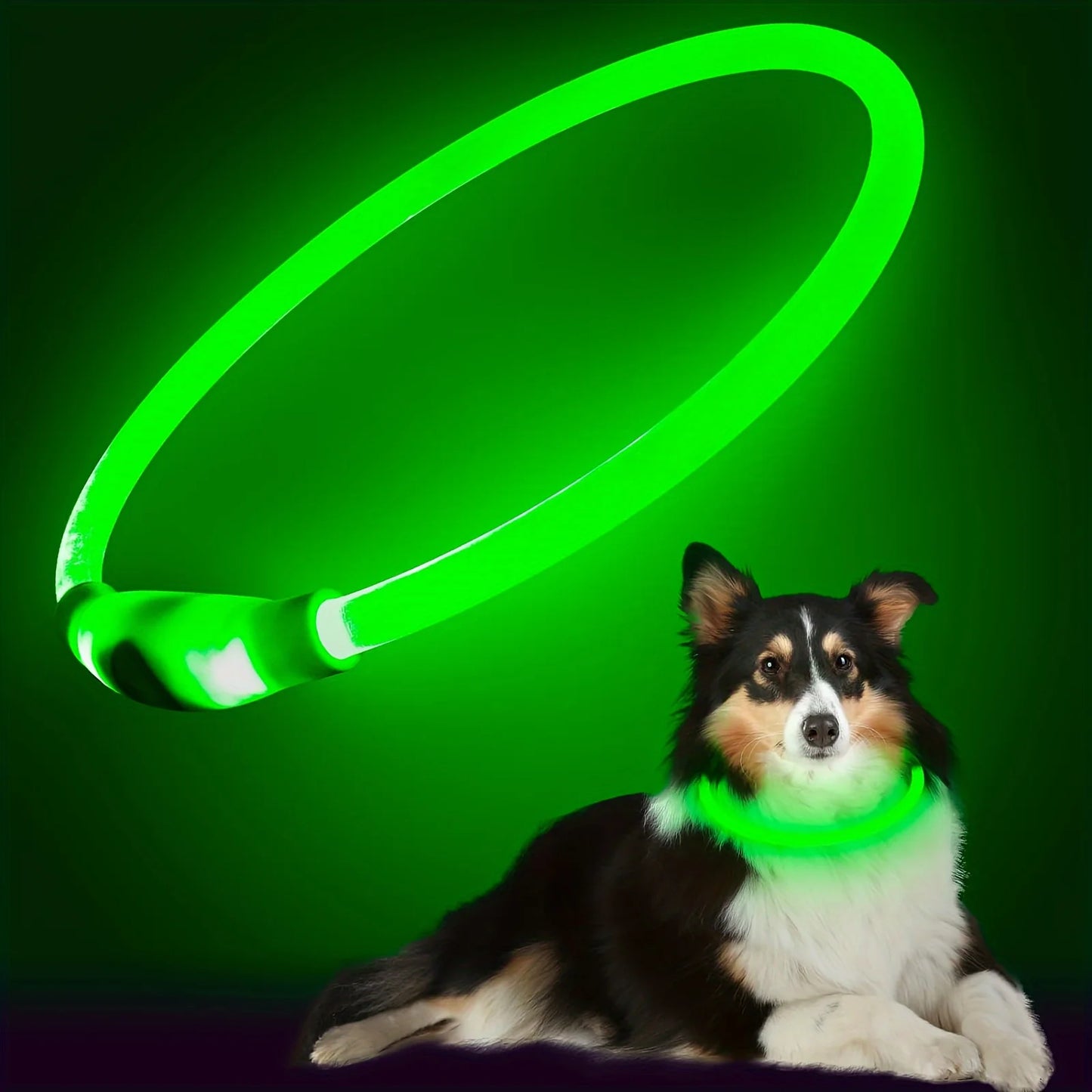 Collier LED Lumineux pour Chien – Sécurité Nocturne & Style 🐾