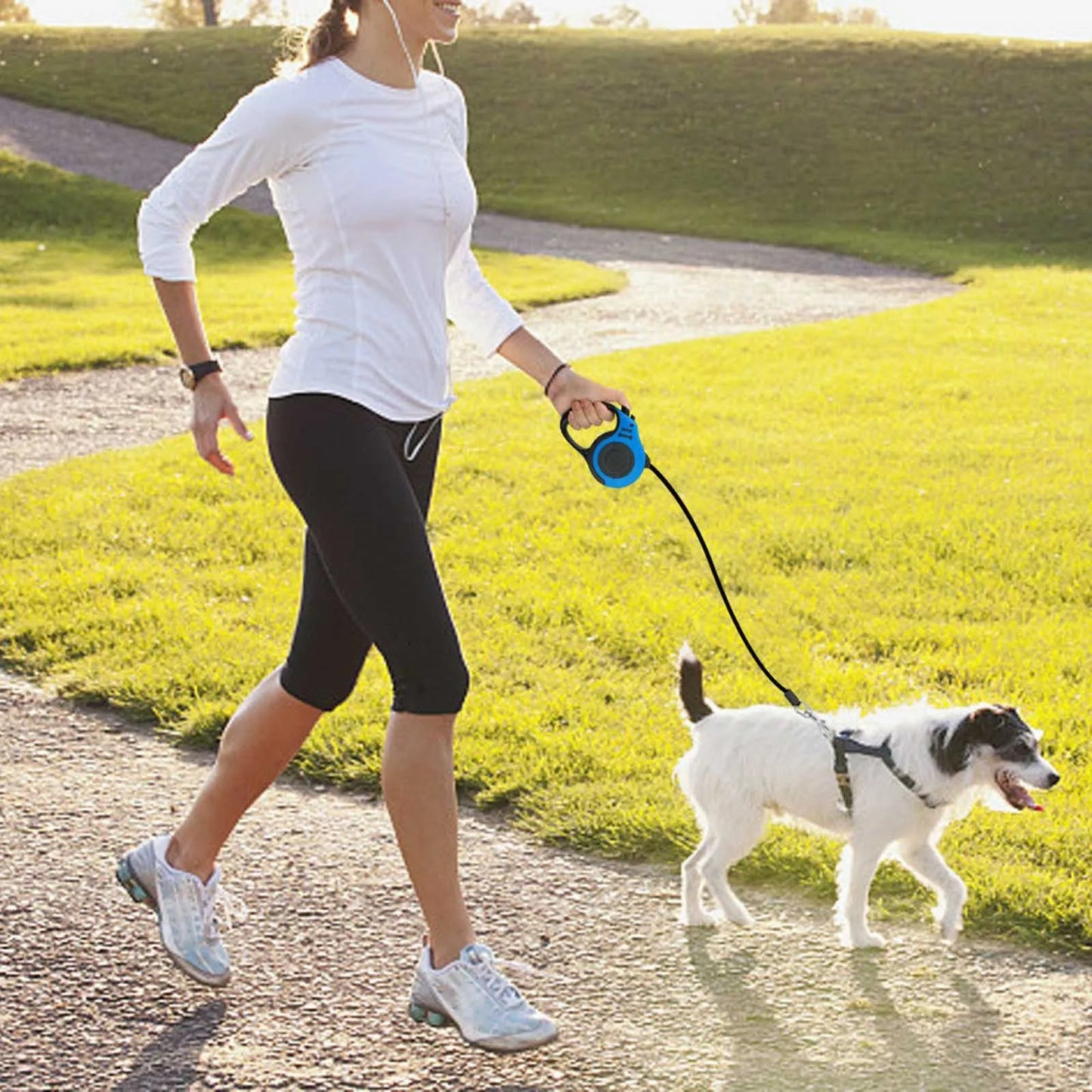 Laisse rétractable 5m – Liberté et sécurité pour vos compagnons 🐾
