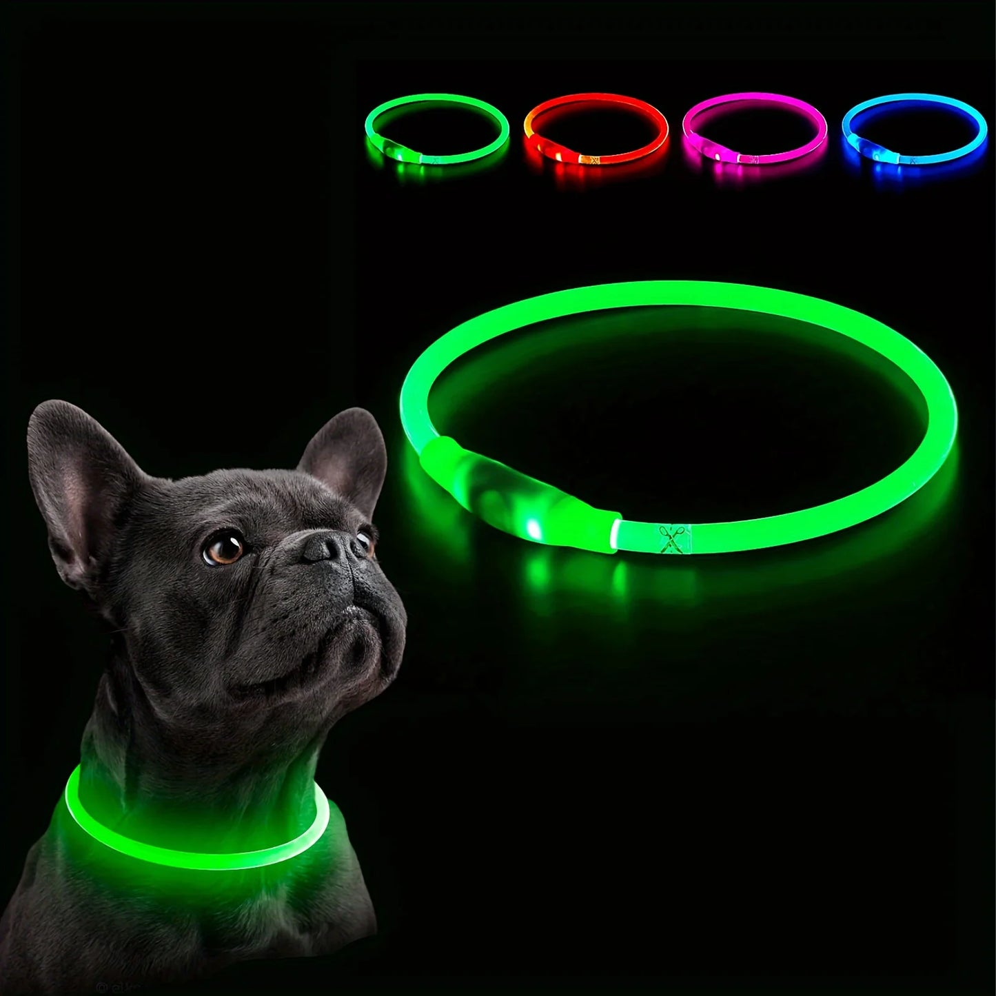 Collier LED Lumineux pour Chien – Sécurité Nocturne & Style 🐾