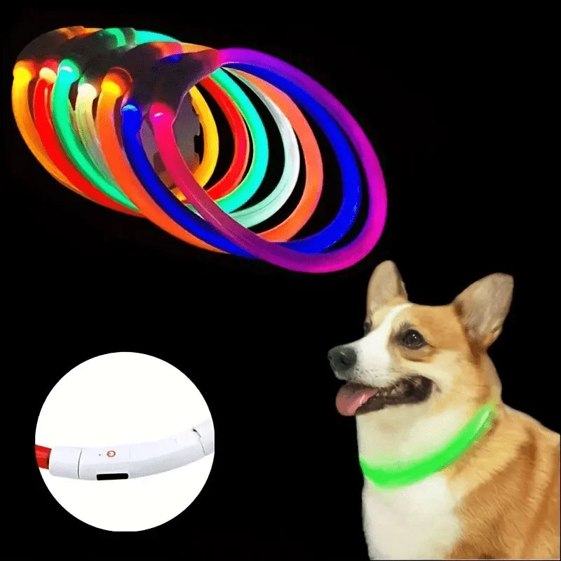 Collier LED Lumineux pour Chien – Sécurité Nocturne & Style 🐾