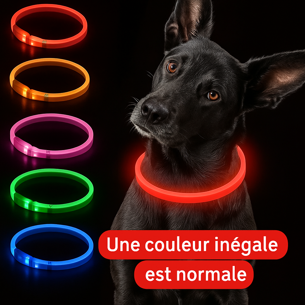 Collier LED Lumineux pour Chien – Sécurité Nocturne & Style 🐾
