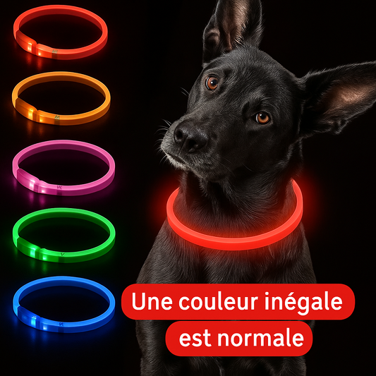 Collier LED Lumineux pour Chien – Sécurité Nocturne & Style 🐾