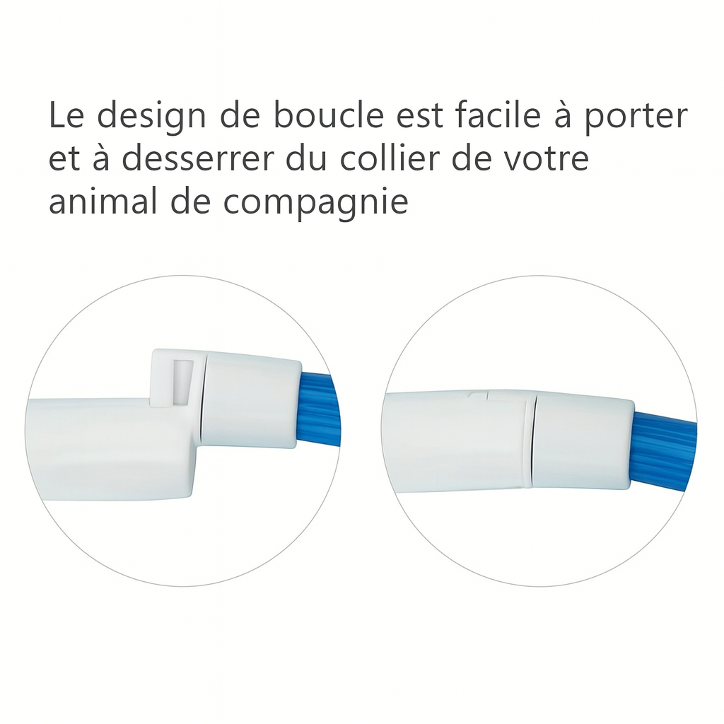 Collier LED Lumineux pour Chien – Sécurité Nocturne & Style 🐾
